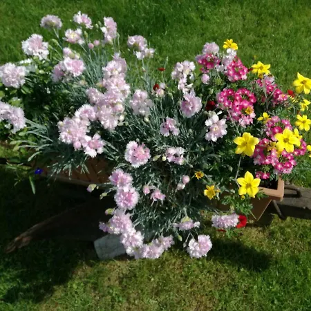 Apartman Ana Apartment