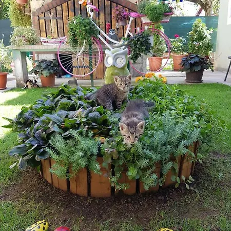 Apartman Ana Gračac