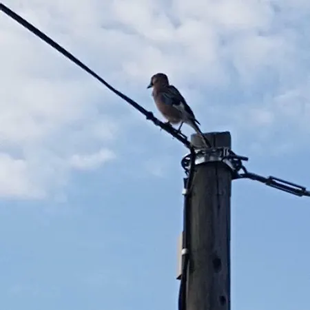 Apartman Ana Gracac (Zadar)