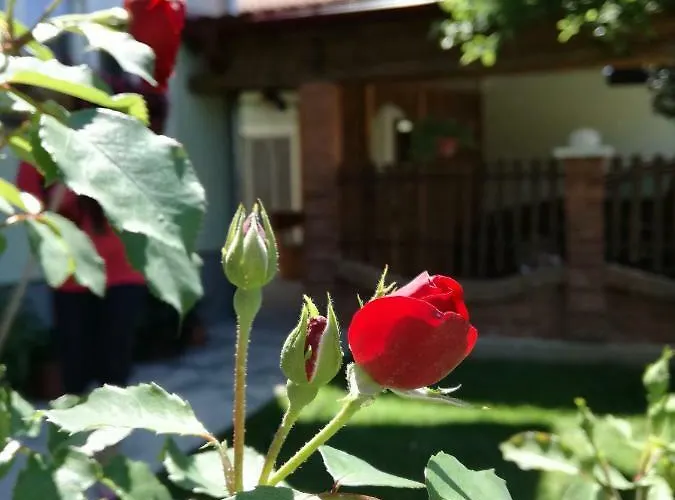 아파트 Apartman Ana *