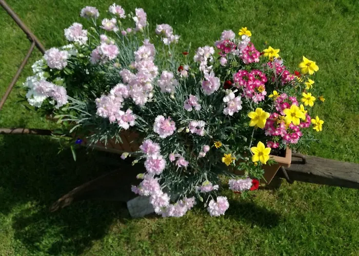 Apartman Ana 아파트